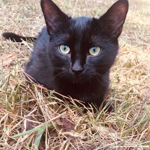 Meet your Posher, Joy